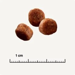 SELECT GOLD Digestion Senior Geflügel Und Reis 2,5kg -SHEBA Verkäufe 0999645de19e34aac9b2c14ea642717fe4bc62d2 1001086008 de DE 6