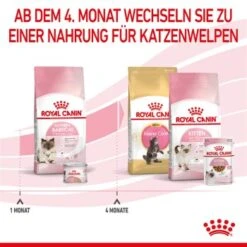 ROYAL CANIN Mother & Babycat 2 Kg -SHEBA Verkäufe 0fe8497acfc1380792b3bad8590087c6f2d67d34 3182550707329 6