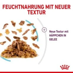 ROYAL CANIN SENSORY Feel In Gelee Für Wählerische Katzen 12x85g -SHEBA Verkäufe 15b7f43bf7d21e68f6a5f585ba869435e3d81722 19a1526453e48e05c977a1660234eaf969ffc1a7