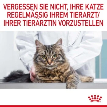 ROYAL CANIN Urinary Care 4 Kg 4 ROYAL CANIN Urinary Care 4 Kg – Bild 4