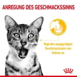ROYAL CANIN SENSORY Taste In Gelee Für Wählerische Katzen 12x85g -SHEBA Verkäufe 21ad04ecb0f38a0b3f44868dfeace831d1374356 3950f3bf5d1e7126a6f4420c4fce7c3f275b668e