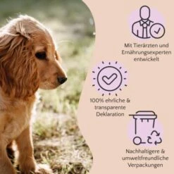 FAVLY Petfood PURE Bites Hirsch 360 G -SHEBA Verkäufe 236dbc85f5fb75ec5fb4367bde1445e3087ffdcd 1474003 de DE 80624b888460a5c29f043365a19496292e44fd84TlIvR8