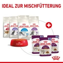 ROYAL CANIN SENSORY Smell In Gelee Für Wählerische Katzen 12x85g -SHEBA Verkäufe 25c7f2b0017090b05172a164b94d24299f626039 5b9b3776479c43ed4449b8634046c65b7d96c1fe