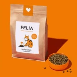 Fred & Felia FELIA Trockenfutter Multiprotein -SHEBA Verkäufe 2e9f8d17d9ad3cd7c57add952cbc5a24866025b7 1685923 de DE 61fb3de65eaff98cc7a54291eed95edd4438d09aCxT5kC