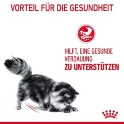 ROYAL CANIN Digestive Care 10 Kg -SHEBA Verkäufe 33836b78e4dfe5d72c6cf6742ac3f6af2f72a25c 1084985 4