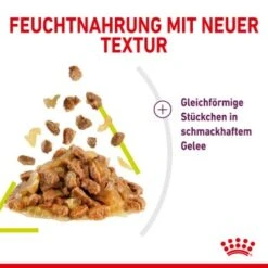 ROYAL CANIN SENSORY Smell In Gelee Für Wählerische Katzen 12x85g -SHEBA Verkäufe 3469e2789c9f64bff26f87bbac39ba0a4ed440ea 45f33cf5dbb691236fc67f7b11a07842abb35bb4