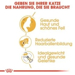 ROYAL CANIN Norwegian Forest Adult 10 Kg -SHEBA Verkäufe 35f747f3a246ac1026c8b21a4d6b84d72541816d 27437237589f91031e5751991c906b563ce7ae1f