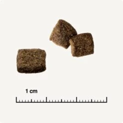 REAL NATURE WILDERNESS Adult Mixpaket Mixpaket 1, Mix-Pack -SHEBA Verkäufe 38c9fddfde6e364977836a7419845bd5679c428a 1267097 de DE 6 savannah 1173938004