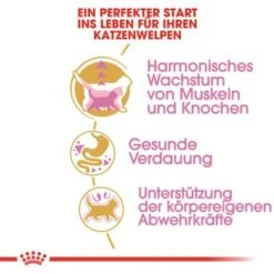 ROYAL CANIN British Shorthair Kitten 2 Kg -SHEBA Verkäufe 3feab8717345fb55fe890c564cd1933a92234494 8fcb8d730ecfafe8fb567de5d1188cbf674cf65f