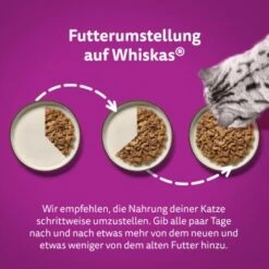 Whiskas Tasty Mix Multipack Chef's Choice In Sauce 40 X 85g -SHEBA Verkäufe 409f4c41204a67499d9e04ea40f469165fcf23ac 1410720 de DE Whiskas 4