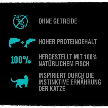 CRAVE Mit Lachs Und Weißfisch 2,8 Kg 3 CRAVE Mit Lachs Und Weißfisch 2,8 Kg – Bild 3