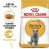 ROYAL CANIN British Shorthair Adult 2 Kg