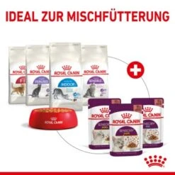 ROYAL CANIN SENSORY Taste In Gelee Für Wählerische Katzen 12x85g -SHEBA Verkäufe 568b3c97dc75b630cb8553b47c690f1b60ec1147 2eb8c2e403a7d9180bf5ffc8ee25035aa1ddb615