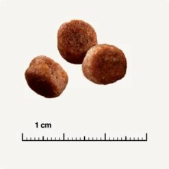 SELECT GOLD Sensitive Digestion Adult Geflügel Und Reis 2,5 Kg -SHEBA Verkäufe 571cc49e96eaa29d93cdb9496136ed90f38f0ce7 1243347 de DE 6