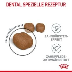 ROYAL CANIN Dental Care 3,5 Kg -SHEBA Verkäufe 5fb2afd9953b01669eac47bd89d44929db4d1f18 1003121009 de DE rc 6