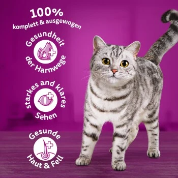 Whiskas Beutel 1+ Mit Rind 3,8kg – Bild 3