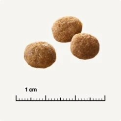 SELECT GOLD +12 Senior Geflügel & Reis 2,5 Kg -SHEBA Verkäufe 6db53d99e99530132bf34d8482d69f423780c004 1081823016 de DE 6 1