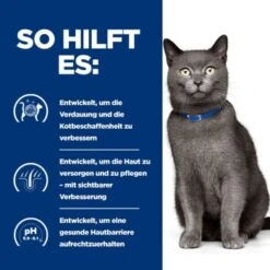 Hill's Prescription Diet D/d Food Sensitivities 3 Kg -SHEBA Verkäufe 715c2a71513f1156c0e6f5987afb0d86de83e8ad 52742047584 5