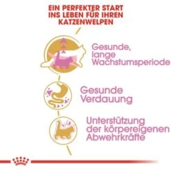 ROYAL CANIN Maine Coon Kitten 4 Kg -SHEBA Verkäufe 762fe3d95c521f1c9aed31bc11ea5f813cb64625 48abad1c00ba32352c5f4e40b8a5a9d5e4dec65f