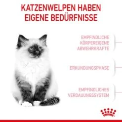 ROYAL CANIN Kitten 4 Kg -SHEBA Verkäufe 76c69f287cfbe56e3ecbc6374c1c83282049ff9f 3182550702973 4