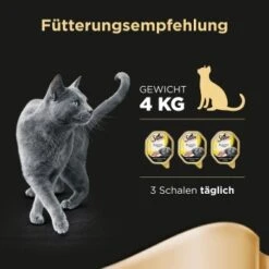 Sheba Delikatesse In Gelee 22x85g Huhn -SHEBA Verkäufe 7d0c61cee00487eaa7204e4ee0e0cb29425d4a1a 53fe67de08e8358e9fe1bb0859111ef670e81b29