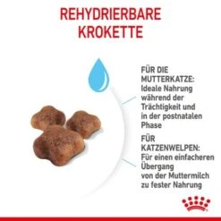 ROYAL CANIN Mother & Babycat 2 Kg -SHEBA Verkäufe 7de9161ec8af5d8e5fb59d6589cba97c3ecae1bf 3182550707329 5