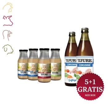 Tjure Mix-Box Katze 1 Tjure Mix-Box Katze