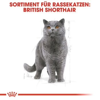 ROYAL CANIN British Shorthair Adult 2 Kg 6 ROYAL CANIN British Shorthair Adult 2 Kg – Bild 6