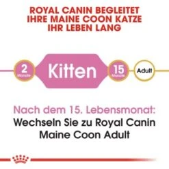 ROYAL CANIN Maine Coon Kitten 4 Kg -SHEBA Verkäufe 9494efda15798aa930f4c836c086824869519e76 d153c89f98a812830b790602e2c1dd84504c30b9