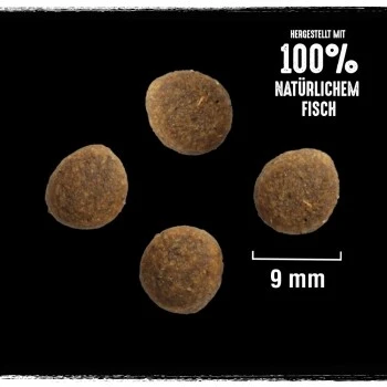 CRAVE Mit Lachs Und Weißfisch 2,8 Kg 2 CRAVE Mit Lachs Und Weißfisch 2,8 Kg – Bild 2