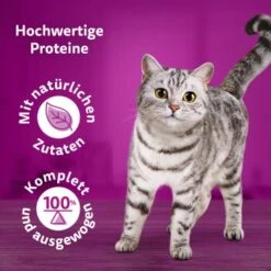 Whiskas Pure Delight Mega Pack Geflügel Ragout In Gelee 40 X 85g 14 Whiskas Pure Delight Mega Pack Geflügel Ragout In Gelee 40 X 85g -SHEBA Verkäufe 9f640c36363dfb61f5b5632a4b10e09a36dea899 1410723 de DE Whiskas2 1