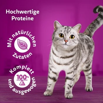 Whiskas Pure Delight Mega Pack Geflügel Ragout In Gelee 40 X 85g 6 Whiskas Pure Delight Mega Pack Geflügel Ragout In Gelee 40 X 85g – Bild 6