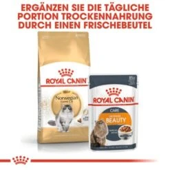 ROYAL CANIN Norwegian Forest Adult 10 Kg -SHEBA Verkäufe a02b9db4fbab44608d8f96a75fee25646abd3ee2 af41e3357e03e3d428ca315b755dc856d14ee9c9