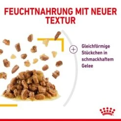 ROYAL CANIN SENSORY Taste In Gelee Für Wählerische Katzen 12x85g -SHEBA Verkäufe a0a9a743b6a6722f849df958bc9024e93eba856b e74a0546ac96b90fff45a5cac73c2ea520ddf555