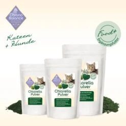 ChronoBalance Chlorella Pulver 100 G -SHEBA Verkäufe ab63cc04fdd2f303a696e03570e6e42d2925154e 1491193 de DE b63f0ce92956b5cbd54b3aa62d3be4c7fc96995a68td0P