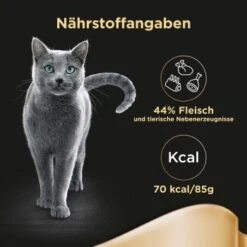 Sheba Selection In Sauce 40x85g -SHEBA Verkäufe b1b472b40571e976e51b9d0e495cd378ef782b3c 17ba03525cba1eeb2d2e083ccc14cfc10b508460