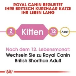 ROYAL CANIN British Shorthair Kitten 2 Kg -SHEBA Verkäufe b9dcf6abb7a4919bf6fc18b953f6e6aa3597ecf5 b5fbd35505db68c05c613e1187818406628392a1
