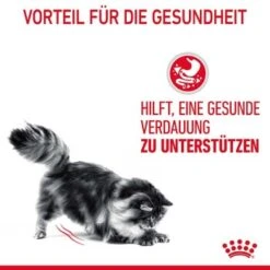 ROYAL CANIN Digest Sensitive 12 X 85 G 14 ROYAL CANIN Digest Sensitive 12 X 85 G -SHEBA Verkäufe ba8f0887f733c8e53f9aa087d9158d7e9bcea30d 1100873 3