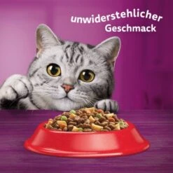 Whiskas Beutel 1+ Mit Rind 3,8kg -SHEBA Verkäufe c556c1aa9e739d7f3055c7a47f389c5ccefe388c 1226411 de DE 05900951258770 C1L1 s01 v01 3 7