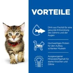 Hill's Science Plan Kitten Thunfisch 7 Kg -SHEBA Verkäufe c6fb28c1a799efc2b3725ee5b7be61613fad29ae 52742024431 4