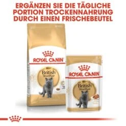 ROYAL CANIN British Shorthair Adult 2 Kg 9 ROYAL CANIN British Shorthair Adult 2 Kg -SHEBA Verkäufe c753bd00548b3887de38170504d89850cc579133 6ad27fa67d71d664216d6c9c00894ac1ba874172