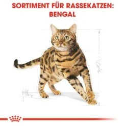 ROYAL CANIN Bengal Adult 10 Kg 12 ROYAL CANIN Bengal Adult 10 Kg -SHEBA Verkäufe cb3c9b745b0cf6e86ca2308b544461de43105143 e7122eb5a9e8a316aad32423edb5418ecd6d24cd