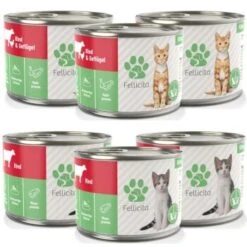 Fellicita Mixpaket Nr. 7 Für Kitten 6x 200g -SHEBA Verkäufe cdc442c2ea9c0d114039d7653fefc02032e67992 1478252 de DE d499f4d113379f4e7a31f119be5ecb6345f2b2aaZb23nk