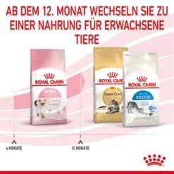 ROYAL CANIN Kitten 4 Kg -SHEBA Verkäufe cf133300f1a1c045b6143772211651d61c06ad62 3182550702973 7