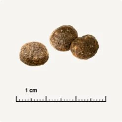 REAL NATURE WILDERNESS Adult Probierpaket Mixpaket 1, Mix-Pack -SHEBA Verkäufe d13ec079dfc733868201f90c68c1160fb8a8b3ec 1267094 de DE 6