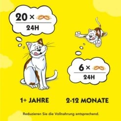 Dreamies Snack-Vielfalt 12x60g -SHEBA Verkäufe e1b190f4f53100ff83c0fb6481ba747fb1f78bad 1297459 2