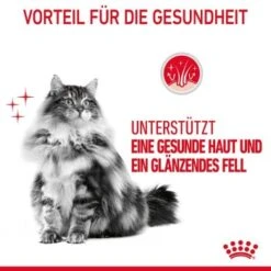 ROYAL CANIN Hair & Skin 12x85g In Soße 16 ROYAL CANIN Hair & Skin 12x85g In Soße -SHEBA Verkäufe e2d81ab81d31e0f585394370ccf8b63bb2844395 1099143 5