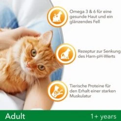 IAMS Vitality Adult Huhn 3 Kg -SHEBA Verkäufe f239d7ef57a6054553948e62d3d5feb16002578a 8361bd6d370c2f798bd71fa3242ca269884546de