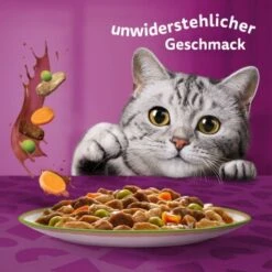 Whiskas Tasty Mix Multipack Chef's Choice In Sauce 40 X 85g -SHEBA Verkäufe f6e2ae102927feafb9e342708a0412557690953c 1410720 de DE Whiskas 6