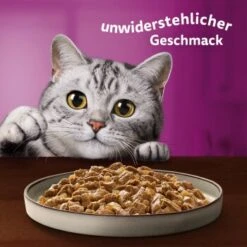 Whiskas Pure Delight Mega Pack Geflügel Ragout In Gelee 40 X 85g 17 Whiskas Pure Delight Mega Pack Geflügel Ragout In Gelee 40 X 85g -SHEBA Verkäufe fb884326dc9636e4843c68e11f5586233a08be8f 1410723 de DE Whiskas 8